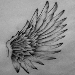 -椿树下·Tattoo纹身工作室