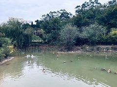 -厦门悦华酒店