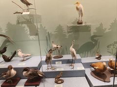 -陕西自然博物馆