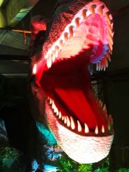 -恐龙探索乐园(磁器口店)