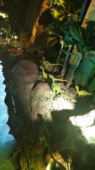 -恐龙探索乐园(磁器口店)