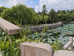 -水绘园