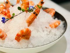 陈年花雕醉斑节虾-海味观(老西门店)