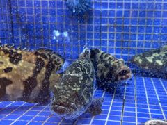 -香山湖渔家大院