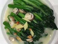 上汤菜心-百乐门喜宴(海珠广场华厦店)