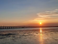 -宝安西湾红树林湿地公园