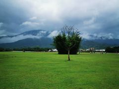 -广州市帽峰山景区