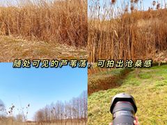 -虎丘湿地公园