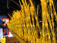 景观位-龙巢盱眙龙虾·鸡煲·烧烤宵夜(坪洲店)