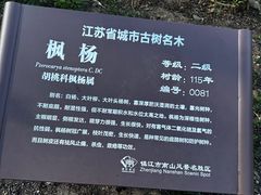 -镇江市南山风景名胜区竹林景区