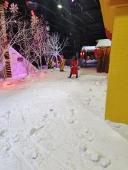 -圣名游乐城冰雪大世界