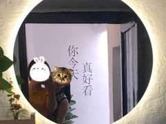 -About Bistro關於·泰式家庭料理