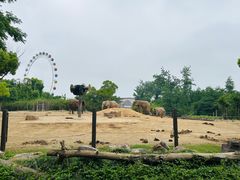 -上海野生动物园