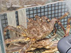 -万龙洲海鲜(南新仓店)