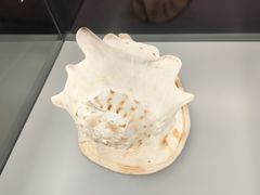 -天津古林古海岸遗迹博物馆