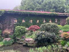 -中国茶叶博物馆(双峰馆区)