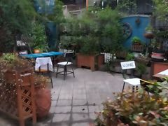-紫藤燕语(兴澄银座店)