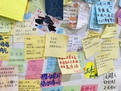 -沉香牛肉面