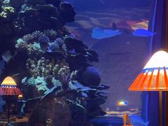 -迪拜帆船酒店海底餐厅