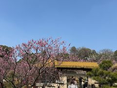 -无锡梅园公园