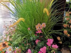 -第101座花园餐厅(湖滨88店)