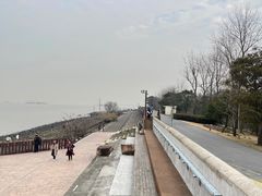 -上海滨江森林公园