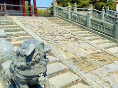 -北陵公园