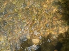 -南海湾森林生态园
