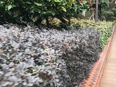 -铁路文化公园