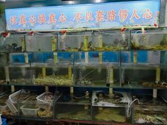 水产区-来之顺海鲜菜馆·青岛菜(栈桥店)