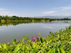 -洨河生态公园