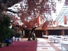 iphone_upload_pic-绿色时代大酒店