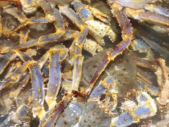 帝王蟹-海景壹号大酒店(滨湖店)