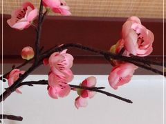 -松云泽