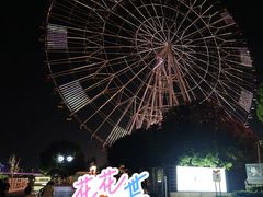 -南昌之星摩天轮