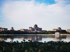 -莲花池公园