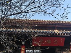 -灵谷景区
