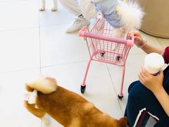 -怪兽屋·羊驼·猫咖·狗咖(俊华广场店)