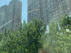 -八家子宠物市场