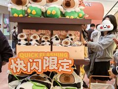 -首开·龙湖成都西宸天街