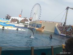 -秦皇岛乐岛海洋王国