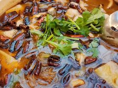 -蔼若春.传承云南菜(金碧公园店)