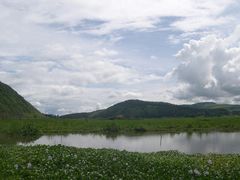-腾冲北海湿地
