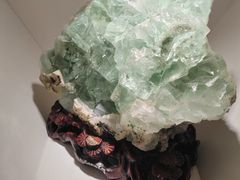 -安徽省地质博物馆