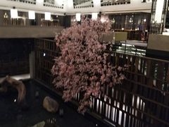 -魅丽海 中庭餐厅(德立莊店)