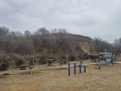 -北京张裕爱斐堡酒庄