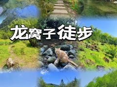 -龙窝子
