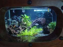 -太平洋海底世界