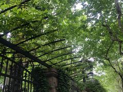 -璐坊粽王(复兴中路店)