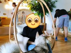-Husky Go! 哈士奇体验馆·宠物咖啡厅狗咖